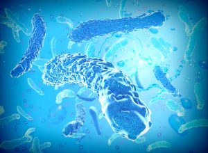 Legionella Life Cycle